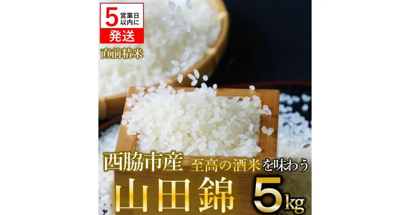 【ふるさと納税】【令和5年産 山田錦】白米5kg（5kg×1袋）【5営業日以内に発送】