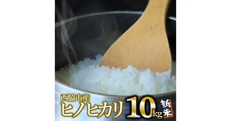 【ふるさと納税】【先行予約】令和6年産 新米 ヒノヒカリ 白米10kg（10kg×1袋）【10月下旬以降順次発送】 米 お米 米10kg お米10kg 兵庫県産 ひのひかり ヒノヒカリ 新米 旨味 もっちり モッチリ 食感 甘い 精米