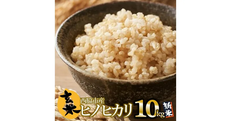 【ふるさと納税】【先行予約】令和6年産 新米 ヒノヒカリ 玄米10kg（10kg×1袋）【10月下旬以降順次発送】