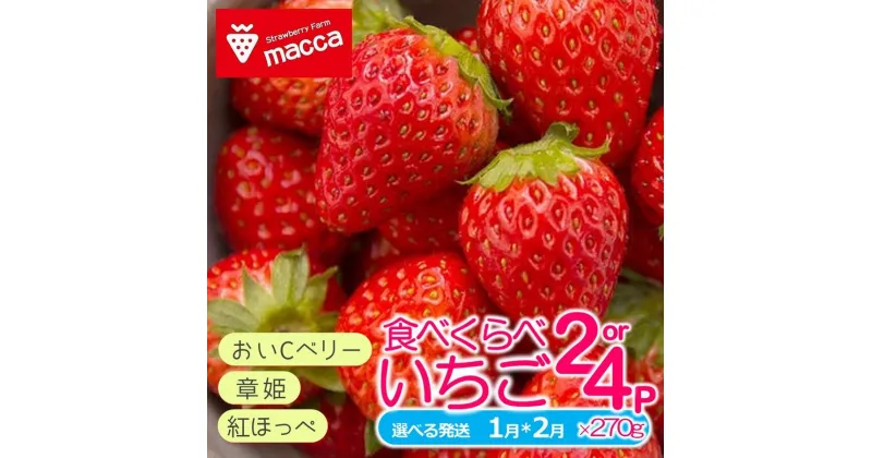 【ふるさと納税】農家直送で新鮮！「西脇市産いちご食べくらべセット」（1箱2パック）～いちご畑macca～