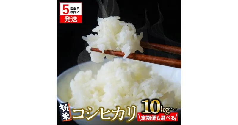 【ふるさと納税】【令和6年産 コシヒカリ】10kg / 20kg / 30kg 定期便10kg（3・6ヶ月） / 定期便20kg / 定期便30kg / 米 お米 白米 精米 国産 西脇市産 兵庫県産 産地直送 産直 選べる 定期 精米 こしひかり