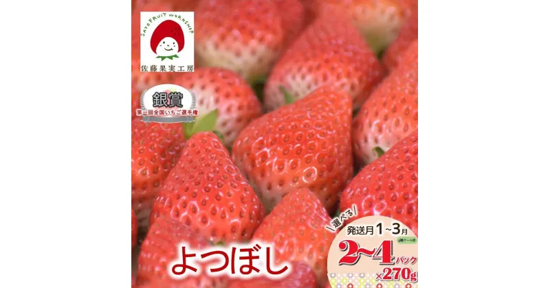 【ふるさと納税】《2025年産先行予約》「佐藤果実工房のよつぼし」選べる 2P 3P 4P 発送月1月から3月【全国いちご選手権銀賞受賞】