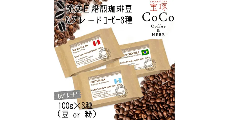 【ふるさと納税】【宝塚】Qグレード珈琲3種類 当日自家焙煎珈琲100g×3種