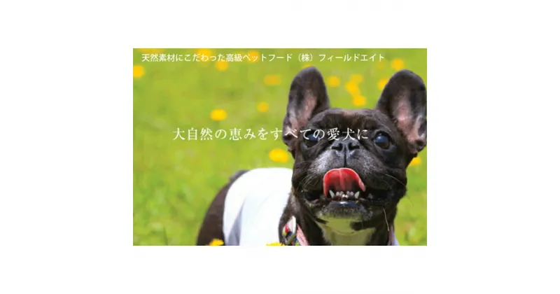 【ふるさと納税】犬のおやつ 小袋5点セット