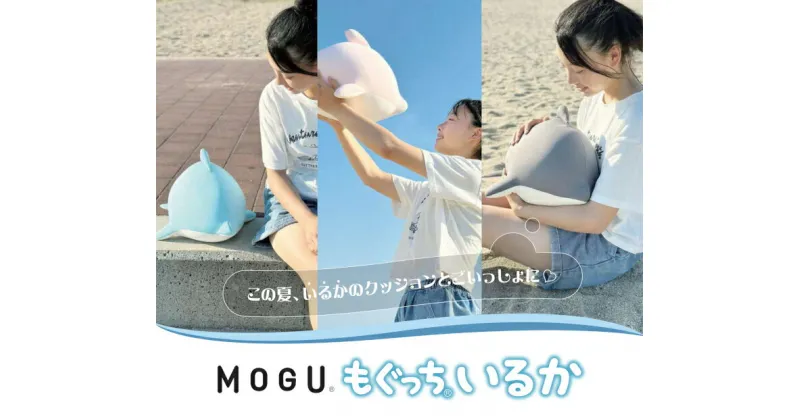 【ふるさと納税】MOGU もぐっちいるか