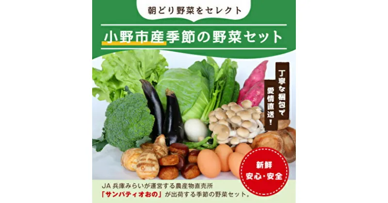 【ふるさと納税】小野市産季節の野菜セット！　野菜類 セット 詰合せ