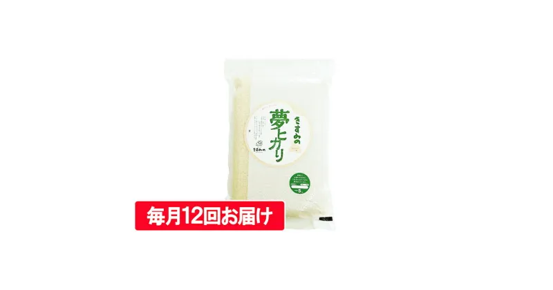 【ふるさと納税】定期便 米 令和6年産 新米 真空パック5kg【毎月12回お届け】[ お米 おこめ コメ 白米 ]　定期便・お米