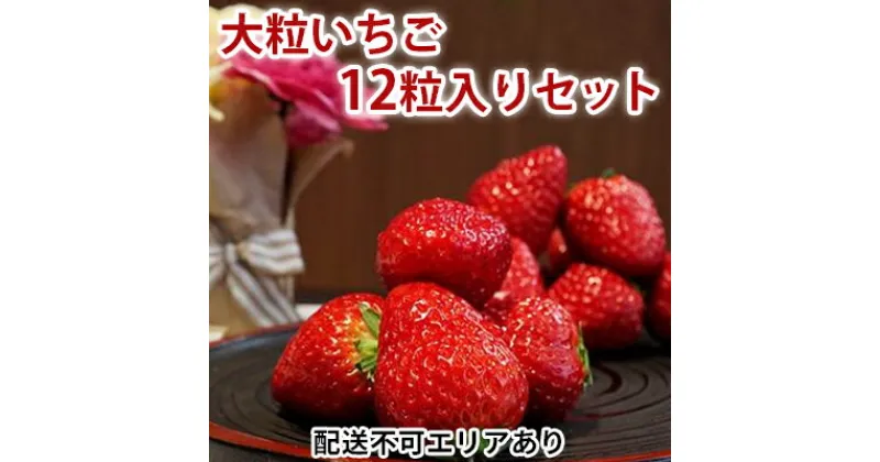 【ふるさと納税】大粒いちご 12粒入りセット[ いちご イチゴ 苺 フルーツ 果物 新鮮 糖度 ]　果物類 いちご 苺 イチゴ 大粒　お届け：2025年1月上旬～2025年3月末