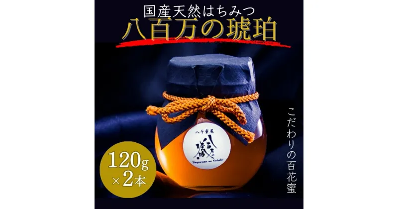 【ふるさと納税】蜂蜜 八百万の琥珀(国産天然はちみつ)120g×2本(計240g)[ はちみつ ハチミツ 国産 百花蜜 ]　加工食品