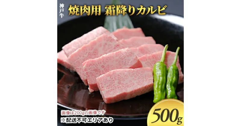 【ふるさと納税】神戸牛　焼肉用 霜降りカルビ 500g（250g×2）　お肉・牛肉・カルビ・焼肉・バーベキュー・神戸牛・霜降り