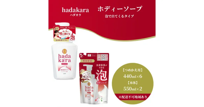 【ふるさと納税】hadakara ( ハダカラ ) オリジナルセット 泡タイプ《本体×2本、つめかえ用×6袋》[ ライオン LION ボディソープ ]　石鹸 液体せっけん つめかえ用 本体 ボディーソープ ハダカラ 保湿成分 泡タイプ