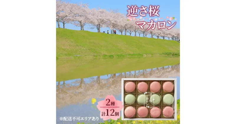 【ふるさと納税】逆さ桜 マカロン 2種 食べ比べ 計12個[ スイーツ 洋菓子 焼菓子 ]　 お菓子 おやつ ティータイム さくらのマカロン さくら味 さくらの葉塩漬け味 贈答用 ギフト 手土産 自宅用