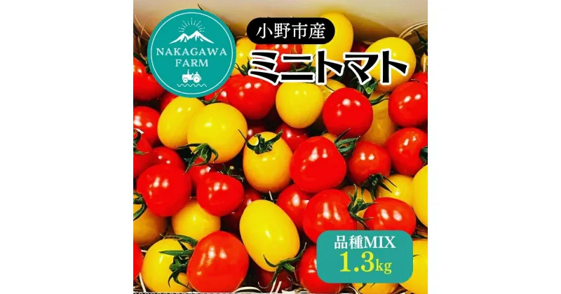 【ふるさと納税】ミニトマト 品種 MIX 1.3kg[ トマト 有機質肥料 ]　 野菜 食材 国産 国産野菜 緑黄色野菜 サラダ 付け合わせ 　お届け：2024年12月1日から2025年6月15日まで※状況によって希望通りお届けできない場合もあります。