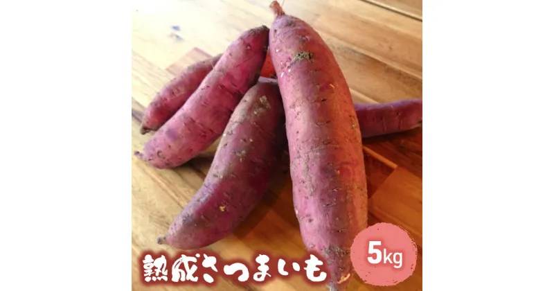 【ふるさと納税】訳あり 熟成 さつまいも 5kgセット[ 不揃い 野菜 ]　 野菜 食材 国産 国産野菜 紅はるか ふくむらさき 紅あずま 熟成さつまいも