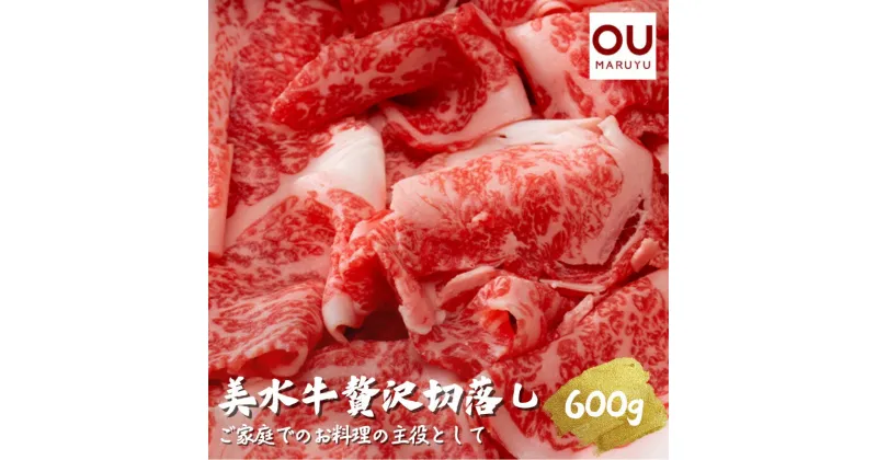 【ふるさと納税】美水牛 贅沢 切落し 600g ( 200g×3 ) 牛肉 冷凍品 ギフト 肉 お祝い 但馬牛 神戸牛 三田牛 数量限定 訳あり ふるさと納税 ふるさと 人気 おすすめ 送料無料 兵庫県 三田市