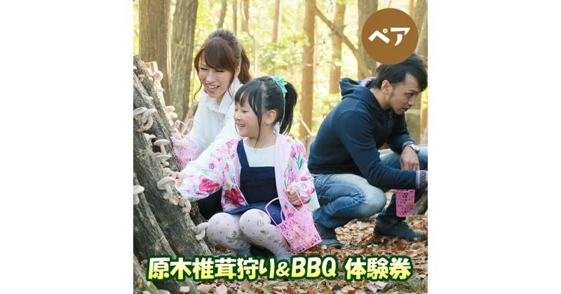 【ふるさと納税】原木 椎茸 狩り ＆ BBQ ペア 体験券 しいたけ シイタケ 椎茸狩り バーベキュー 体験 チケット ふるさと納税 ふるさと 人気 家族 レジャー アウトドア おすすめ 送料無料 兵庫県 三田市