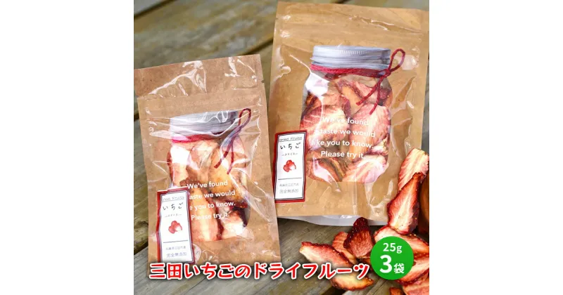 【ふるさと納税】三田 いちごのドライフルーツ 特産 産地 健康 便利 いちご イチゴ 苺 ドライ ドライフルーツ 食品 ギフト ふるさと納税 ふるさと 人気 おすすめ 送料無料 兵庫県 三田市