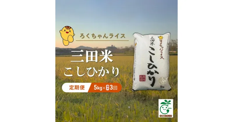 【ふるさと納税】【隔月3回定期便】 令和6年産 三田米 コシヒカリ 5kg 米 お米 白米 新米 精米 こめ コメ こしひかり ご飯 数量限定 訳あり ふるさと納税 ふるさと 人気 おすすめ 送料無料 兵庫県 三田市　定期便