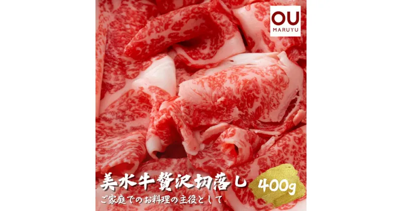 【ふるさと納税】美水牛 贅沢 切落し ( 400g ( 200g×2 ) ) 牛肉 冷凍品 ギフト 肉 お祝い 但馬牛 神戸牛 三田牛 数量限定 訳あり ふるさと納税 ふるさと 人気 おすすめ 送料無料 兵庫県 三田市