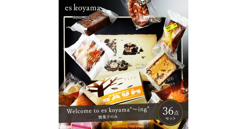 【ふるさと納税】Welcome to es koyama“～ing” ( 焼き菓子のみ サブレ×18枚 / 焼き菓子×18個 ) エスコヤマ コヤマ 焼き菓子 お祝い 贈答品 中元 歳暮 数量限定 期間限定 人気 おすすめ 送料無料 兵庫県 三田市