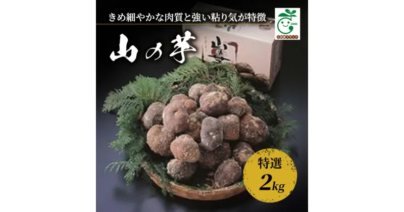 【ふるさと納税】三田 特産 山の芋 ( 特選 2kg ) 芋 山芋 特産 ギフト お祝い 贈答品 中元 歳暮 数量限定 期間限定 人気 ふるさと納税 ふるさと 人気 おすすめ 送料無料 兵庫県 三田市　お届け：11月下旬～12月上旬の発送になります。