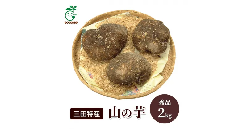 【ふるさと納税】三田特産 山の芋 ( 秀品2kg ) 山芋 芋 特産 秀品 ギフト お祝い 贈答品 中元 歳暮 数量限定 期間限定 人気 ふるさと納税 ふるさと 人気 おすすめ 送料無料 兵庫県 三田市　お届け：11月下旬～12月上旬の発送になります。