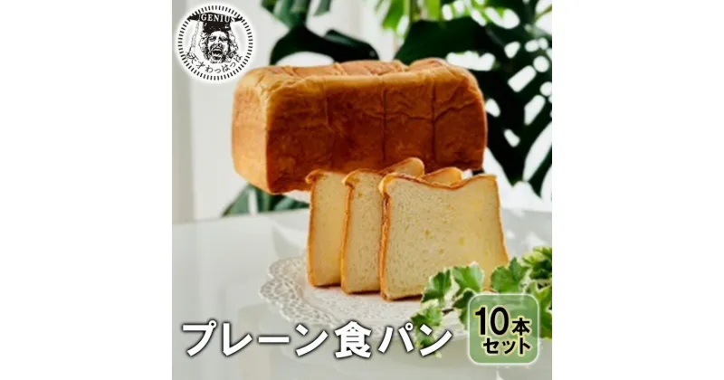 【ふるさと納税】プレーン食パン10本セット (ご機嫌モーニング) パン ぱん 食パン ブレッド おいしい プレーン 朝食 朝ごはん 朝 数量限定 訳あり ふるさと納税 ふるさと 人気 おすすめ 送料無料 兵庫県 三田市