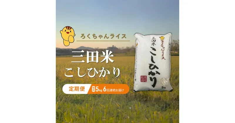 【ふるさと納税】【定期便】 令和6年度産 三田米 コシヒカリ 5kg 6ヶ月連続 こめ コメ お米 白米 こしひかり 数量限定 訳あり ふるさと納税 ふるさと 人気 おすすめ 送料無料 兵庫県 三田市　定期便　お届け：10月上旬～9月末まで