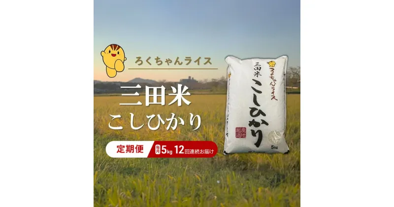 【ふるさと納税】【定期便】 期間限定 令和6年度産 三田米 コシヒカリ 5kg 12か月連続 こめ コメ お米 白米 こしひかり 数量限定 訳あり ふるさと納税 ふるさと 人気 おすすめ 送料無料 兵庫県 三田市　定期便　お届け：10月上旬～9月末まで