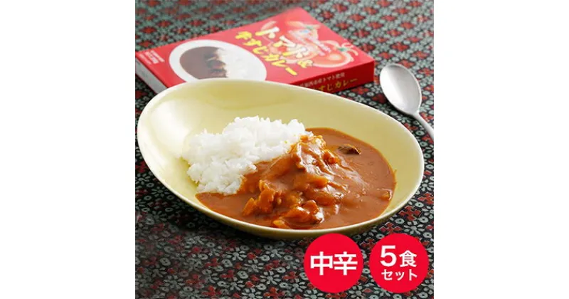 【ふるさと納税】「加西産とまと」を使ったトマト & 牛すじカレー レトルトカレー 5箱 カレー 中辛　野菜/とまと・やさい・セット