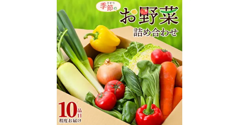 【ふるさと納税】季節の野菜 セット 詰め合わせ 10品程度 野菜 野菜セット 旬の野菜 野菜詰め合わせ 野菜詰め合わせセット 新鮮野菜 新鮮野菜詰め合わせ 新鮮 旬