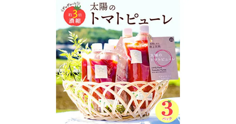 【ふるさと納税】太陽のトマトピューレ 3本セット　野菜・トマト・とまと・トマトピューレ・加工食品