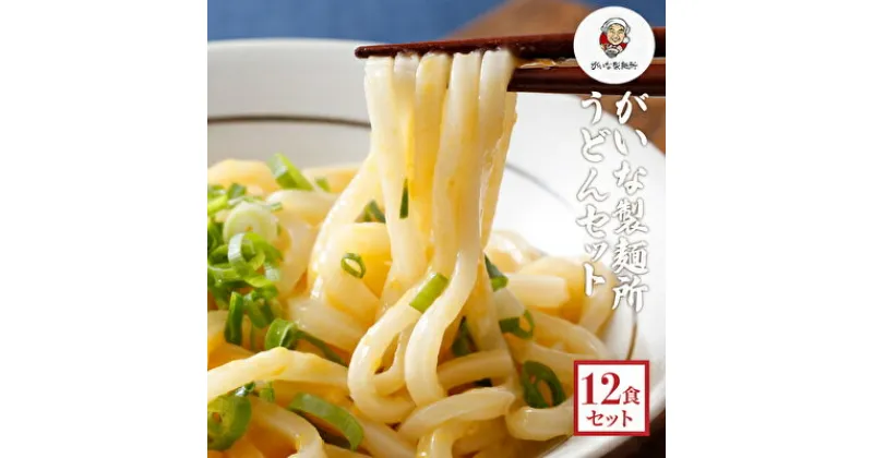 【ふるさと納税】がいな製麺所のうどんセット　麺類・うどん