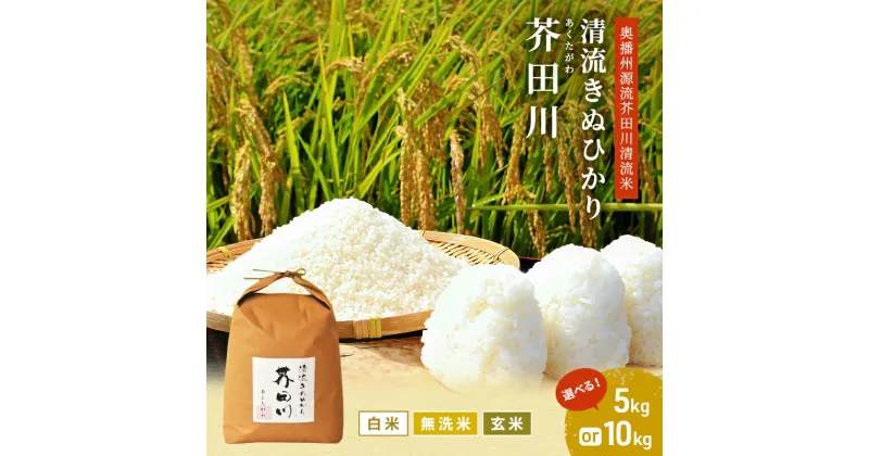 【ふるさと納税】米 【令和6年産】 キヌヒカリ 5kg 10kg 玄米 白米 無洗米 奥播州源流 芥田川産 芥田川 農家直送 国産米 きぬひかり 贈り物 喜ばれる お米ギフト おいしいお米 お祝い 内祝い 贈答　加西市