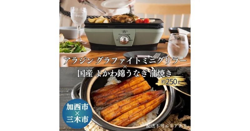 【ふるさと納税】アラジン グラファイトミニグリラー グリーン 緑 国産 よかわ錦うなぎ 蒲焼き 約250g セット 詰め合わせ CAG-MG7AG うなぎ 鰻蒲焼 アラジングリル グラファイトグリラー ホットプレート 調理家電 家電 日用品 加西市 × 三木市 　定期便