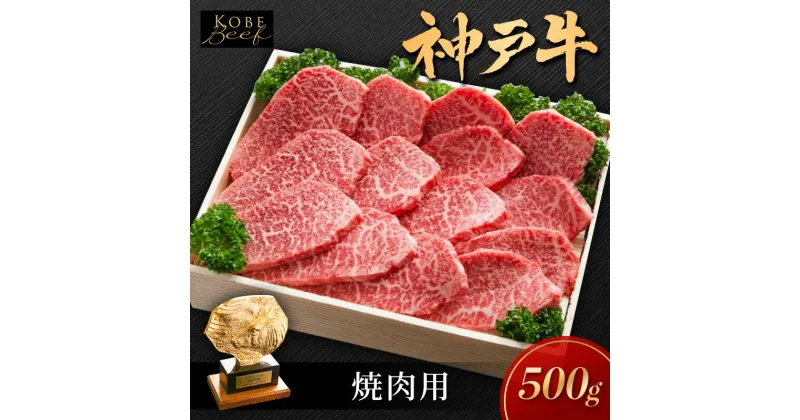 【ふるさと納税】神戸ビーフ KSY2 焼肉用 500g 神戸牛 焼肉 太田家 冷凍 肉 牛肉 小分け　加西市