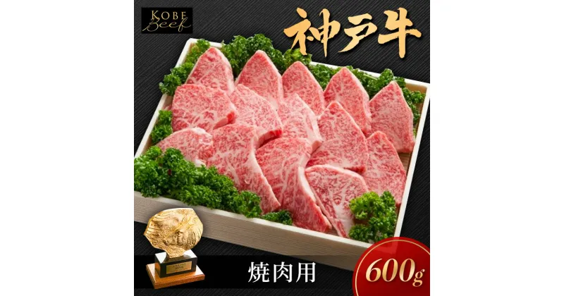 【ふるさと納税】神戸ビーフ KSY3 焼肉用 600g 神戸牛 焼肉 太田家 冷凍 肉 牛肉 小分け　加西市