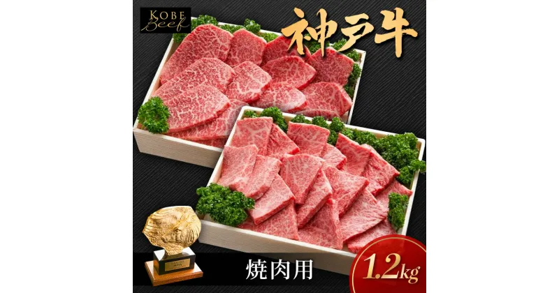 【ふるさと納税】神戸ビーフ KSYS5 焼肉 用セット 神戸牛 焼肉 太田家 冷凍 肉 牛肉 小分け　加西市