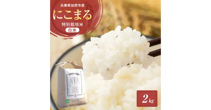 【ふるさと納税】令和6年産 白米 2kg 特別栽培米 にこまる （ 山田錦 ）　米 お米 こめ コメ 特栽米 ひょうご安心ブランド ご飯 ごはん ゴハン 兵庫県 加西市　お届け：11月中旬以降から発送開始