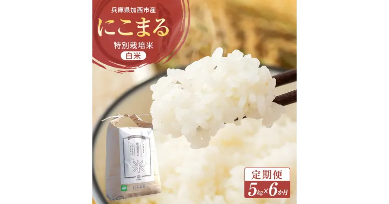 【ふるさと納税】定期便 令和6年産 白米 5kg×6回 特別栽培米 にこまる （ 山田錦 ）　米 お米 こめ コメ 特栽米 5kg 6回 30kg ひょうご安心ブランド ご飯 ごはん ゴハン 精米 兵庫県 加西市　定期便　お届け：11月中旬以降から発送開始