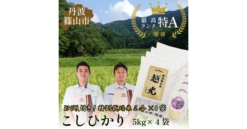 【ふるさと納税】令和6年産　丹波篠山産 特Aランク 越 光 （5kg×4袋） | 丹波篠山 お米 おこめ ブランド米 ごはん ご飯 白米 米 コメ こめ 精米 精白米 ライス おいしい米 美味しいお米 兵庫県 お取り寄せ こしひかり コシヒカリ