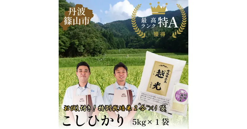 【ふるさと納税】令和6年産　丹波篠山産 特Aランク 越 光 （5kg×1袋） | 丹波篠山 お米 おこめ ブランド米 ごはん ご飯 白米 米 コメ こめ 精米 精白米 ライス おいしい米 美味しいお米 兵庫県 お取り寄せ こしひかり コシヒカリ