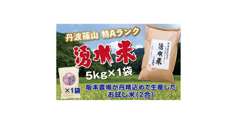 【ふるさと納税】令和6年産　丹波篠山産 特Aランク 湧水米（わきみずまい）5kg×1袋 | 丹波篠山 お米 おこめ ブランド米 ごはん ご飯 白米 米 コメ こめ 精米 精白米 ライス おいしい米 美味しいお米 兵庫県 お取り寄せ こしひかり コシヒカリ