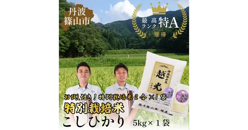 【ふるさと納税】令和6年産　丹波篠山産 特Aランク 特別栽培米 越光（5kg×1袋） | お米 おこめ ブランド米 ごはん ご飯 白米 米 コメ こめ 精米 精白米 ライス おいしい米 美味しいお米 兵庫県 お取り寄せ こしひかり コシヒカリ 特選米