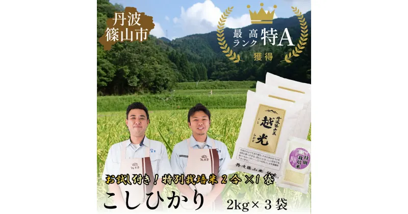 【ふるさと納税】令和6年産　丹波篠山産 特Aランク 越 光 （2kg×3袋） | 丹波篠山 お米 おこめ ブランド米 ごはん ご飯 白米 米 コメ こめ 精米 精白米 ライス おいしい米 美味しいお米 兵庫県 お取り寄せ こしひかり コシヒカリ