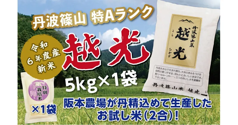 【ふるさと納税】令和6年産　新米予約受付！！丹波篠山産特Aランク越光（5kg×1袋）