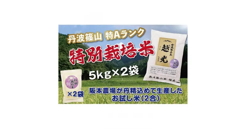 【ふるさと納税】令和6年産　丹波篠山産 特Aランク 特別栽培米 越光（5kg×2袋） | 丹波篠山 お米 おこめ ブランド米 ごはん ご飯 白米 米 コメ こめ 精米 精白米 ライス おいしい米 美味しいお米 兵庫県 お取り寄せ こしひかり コシヒカリ