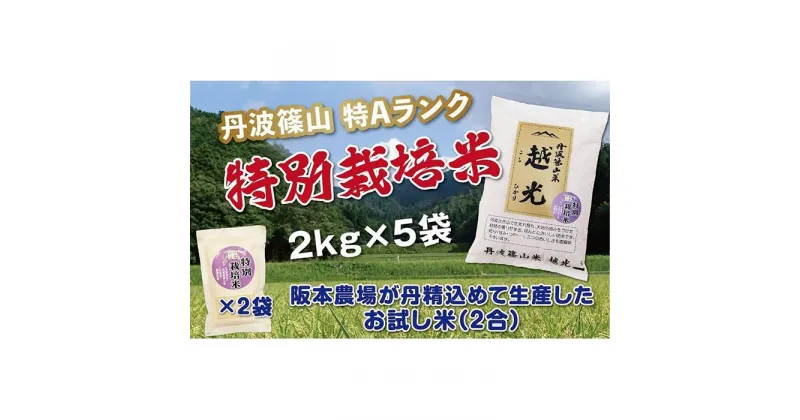 【ふるさと納税】令和6年産　丹波篠山産 特Aランク 特別栽培米 越光（2kg×5袋） | 丹波篠山 お米 おこめ ブランド米 ごはん ご飯 白米 米 コメ こめ 精米 精白米 ライス おいしい米 美味しいお米 兵庫県 お取り寄せ こしひかり コシヒカリ