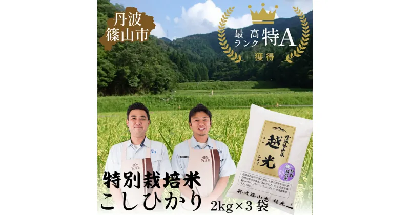 【ふるさと納税】令和6年産　丹波篠山産 特Aランク 特別栽培米 農薬不使用 越光 （2kg×3袋） | 丹波篠山 お米 おこめ コシヒカリ ブランド米 ごはん ご飯 白米 米 コメ こめ 精米 精白米 ライス おいしい米 美味しいお米 兵庫県 お取り寄せ こしひかり