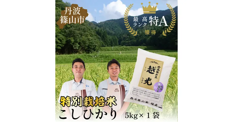 【ふるさと納税】令和6年産　丹波篠山産 特Aランク 農薬不使用特別栽培米　越光 （5kg×1袋） | 丹波篠山 お米 おこめ ブランド米 ごはん ご飯 白米 米 コメ こめ 精米 精白米 ライス おいしい米 美味しいお米 兵庫県 お取り寄せ こしひかり コシヒカリ